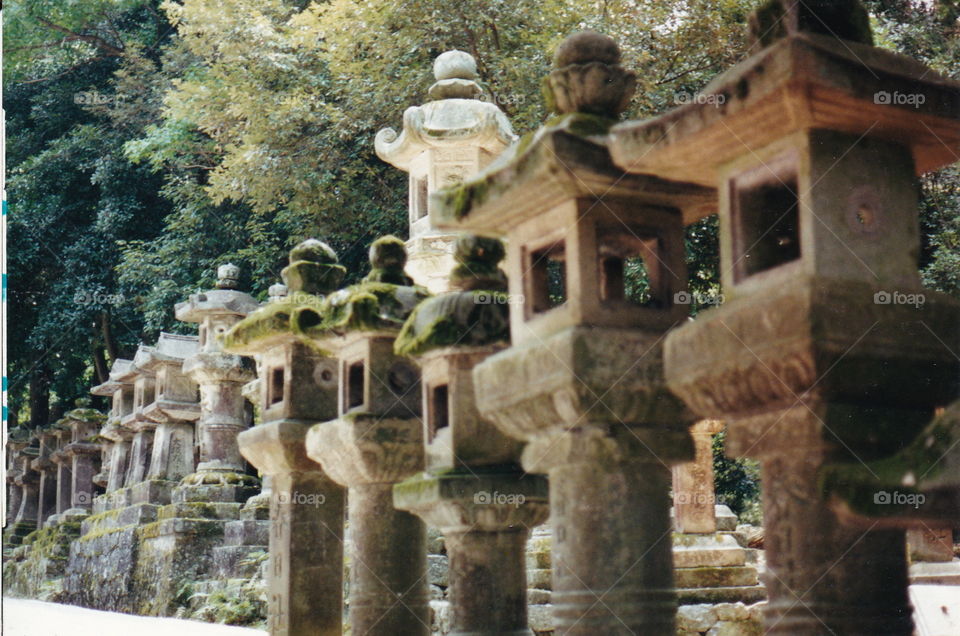 Japan's stone lantern garden