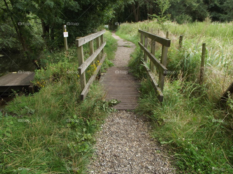 Woodland Bridge