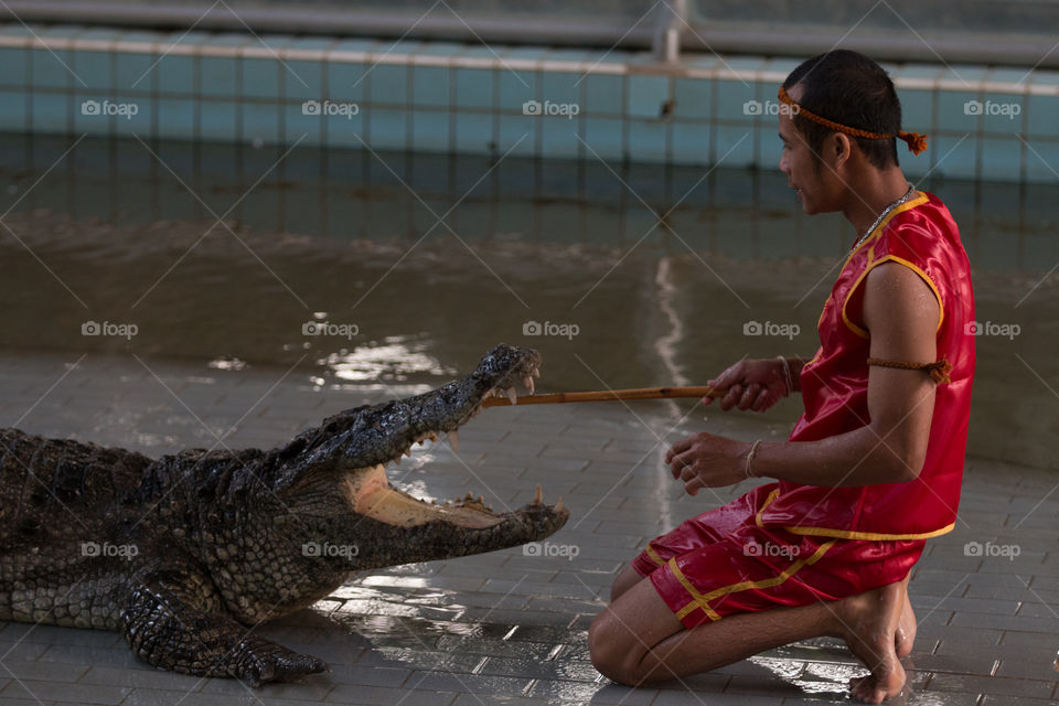 People, Water, One, Reptile, Adult