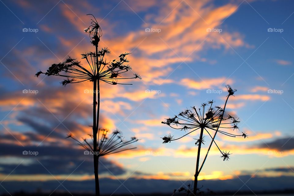 Sonnenuntergang