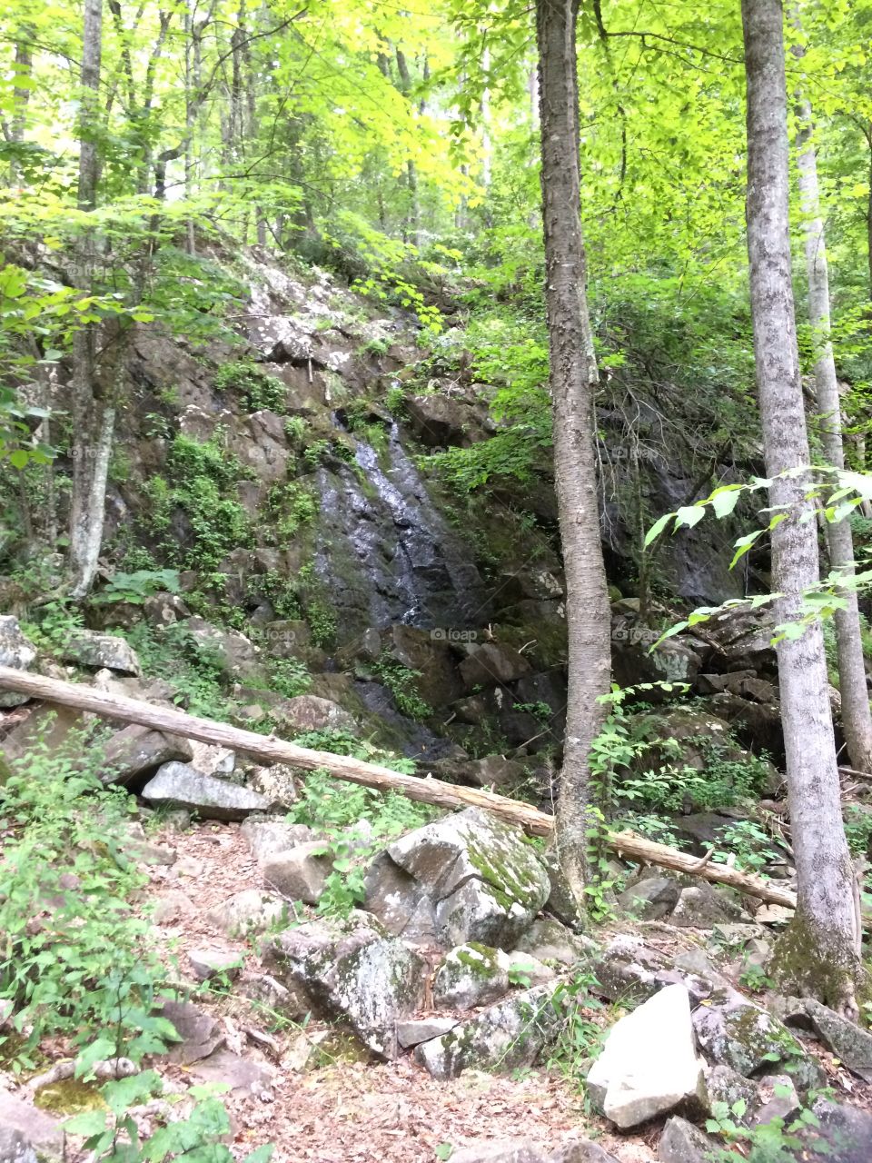 Nature in Connecticut 