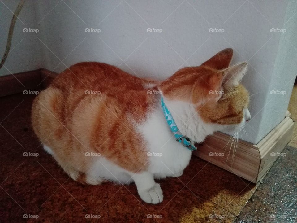 I am going to scare  you