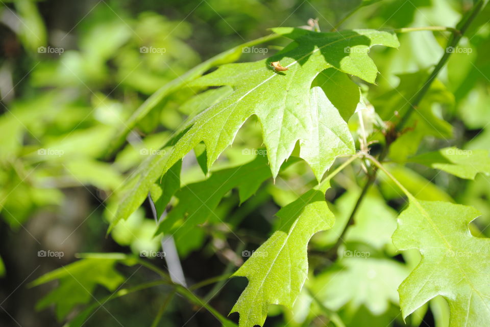 Beautiful urban life