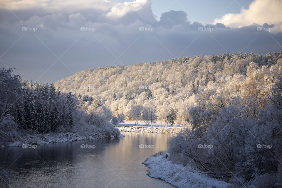 River Gauja in a cold winter morning,Latvia