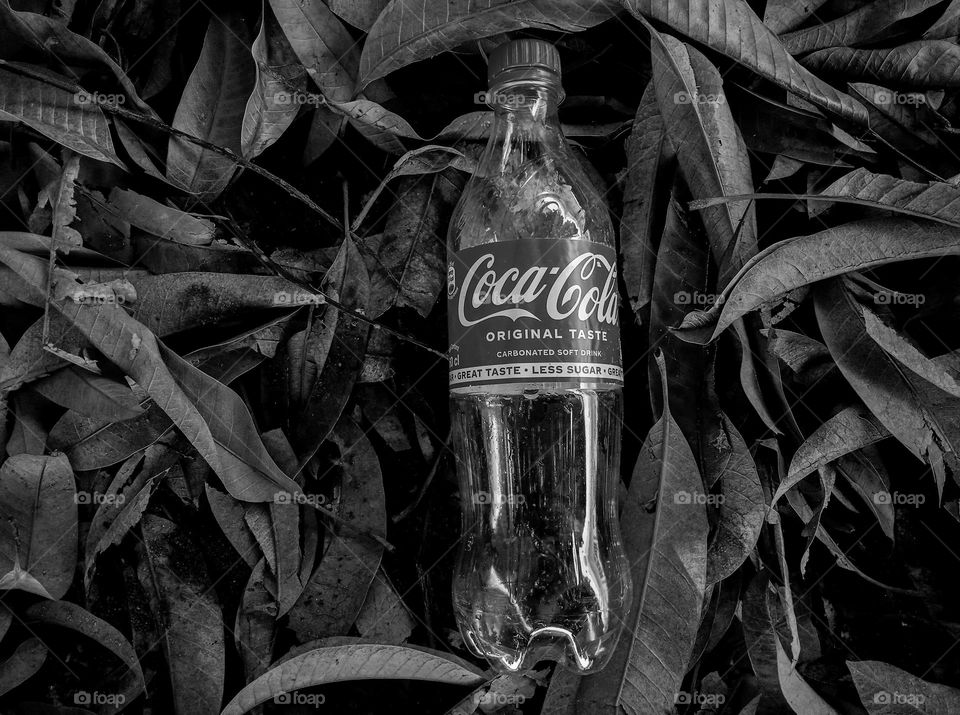 Empty Coca-Cola plastic bottle in the midst of dry leaves