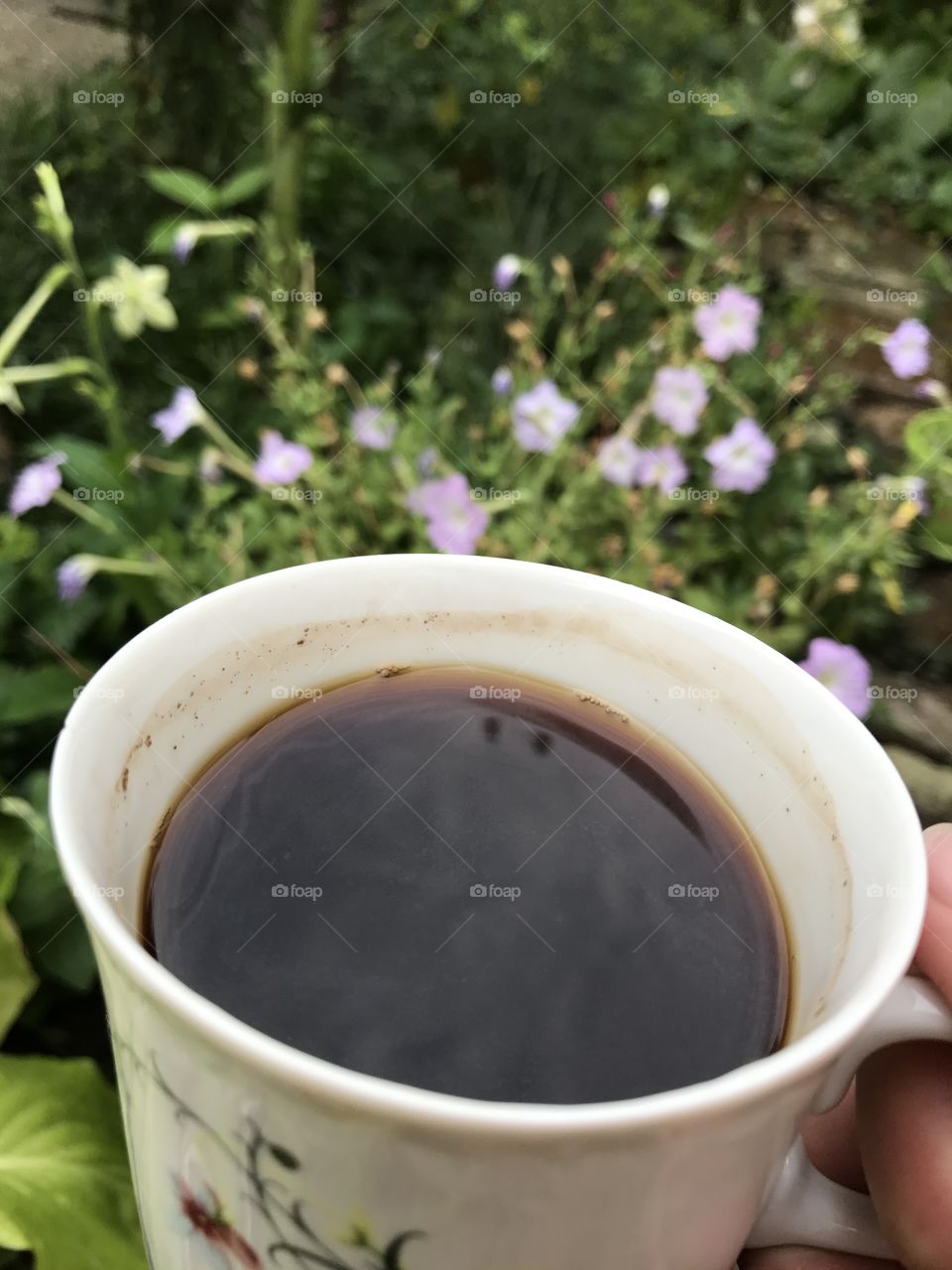 Lovely porcelain cup of coffee with black coffee in it, in the beautiful morning, surrounded by petunia flowers.