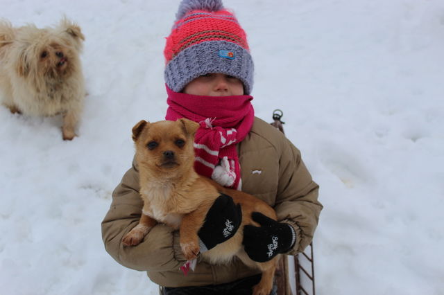 Winter with friends
