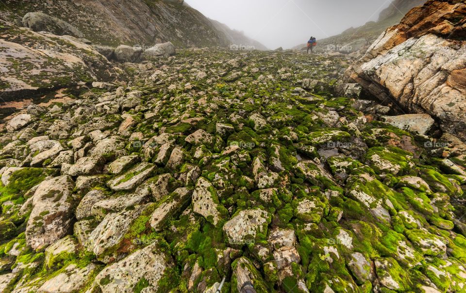 trek to Mandini valley, Garhwal, Himachal Pradesh, India