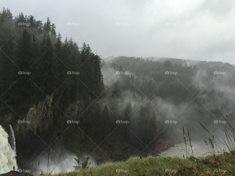 Waterfall trees fog