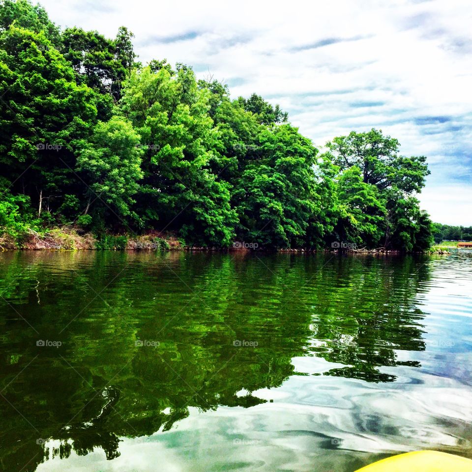 Trees reflecting on river