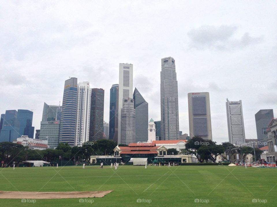 Cricket by the city
