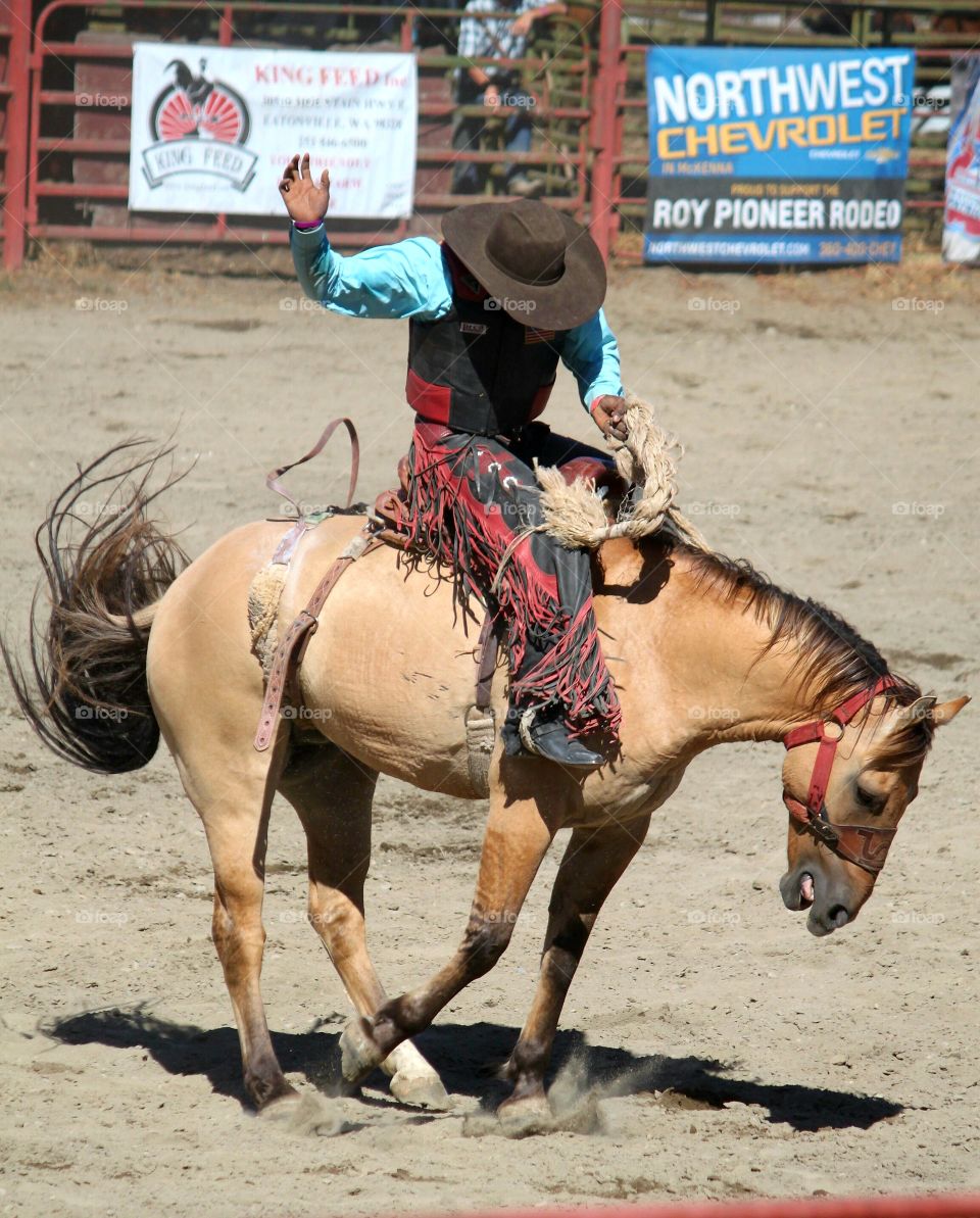 Bare Horseback Riding