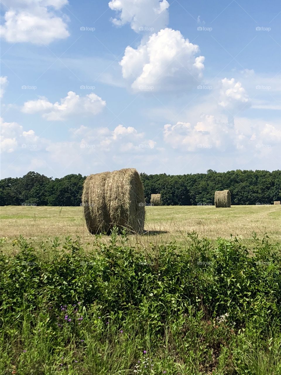 Hay bale in the field against a blue sky with puffy clouds. 