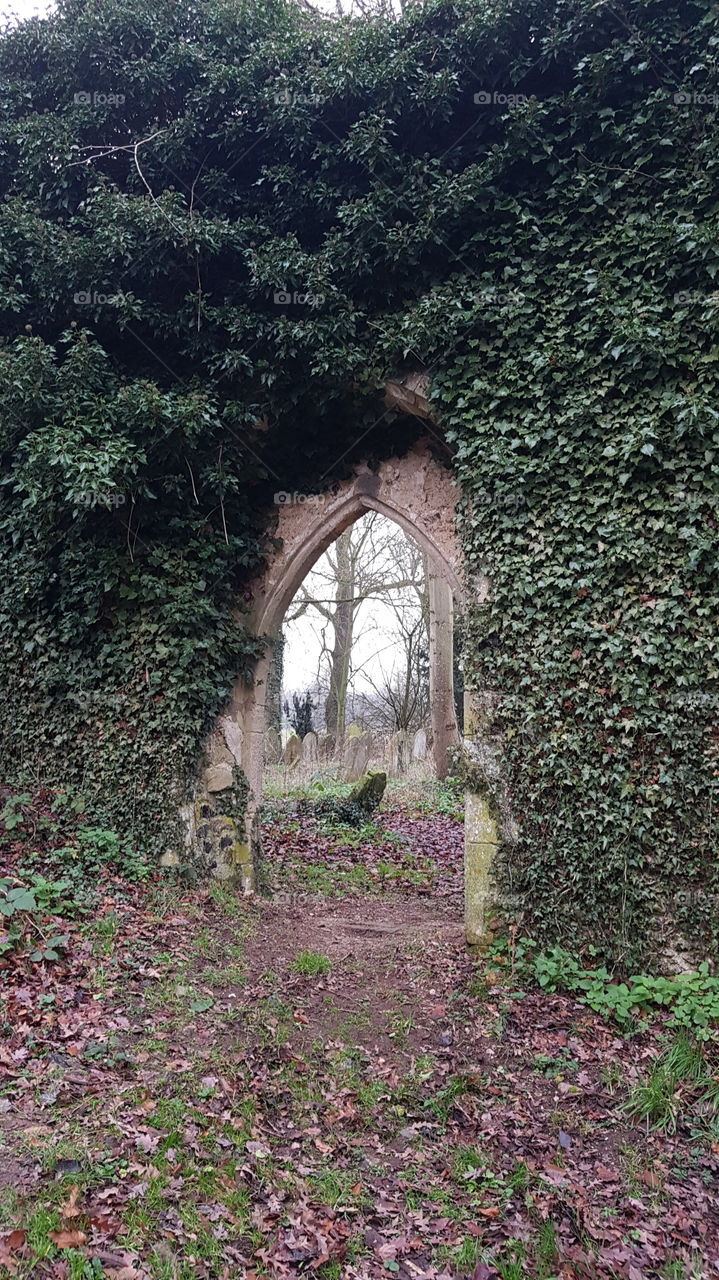 window in church ruin