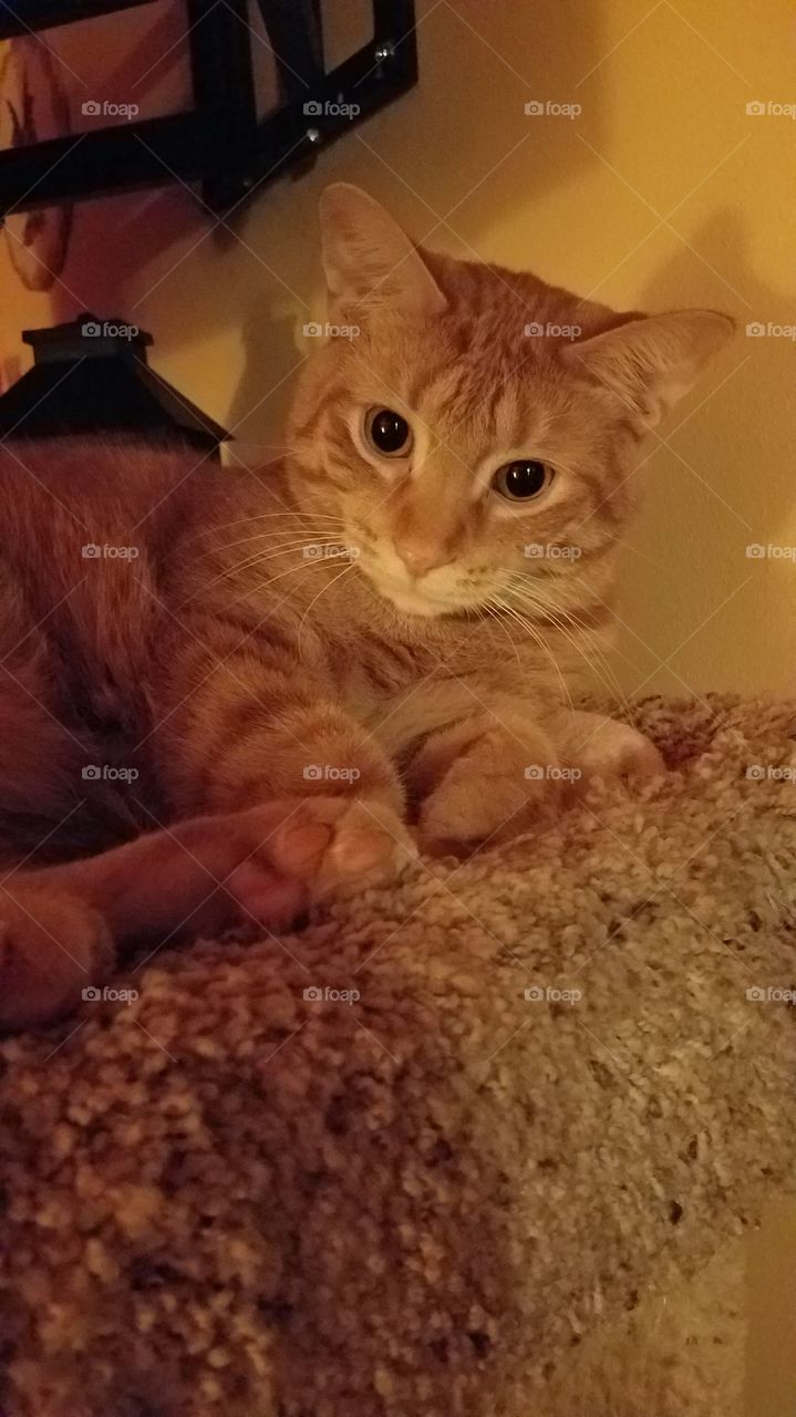 Mr max starting to get frisky