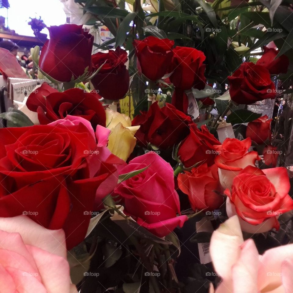 Grocery Store Roses