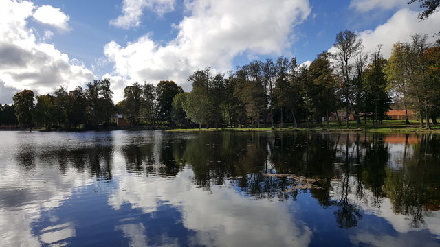 Trees and cloud reflected on lake