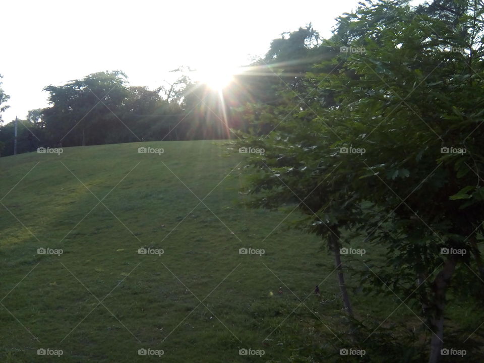 beautiful sight- sun set