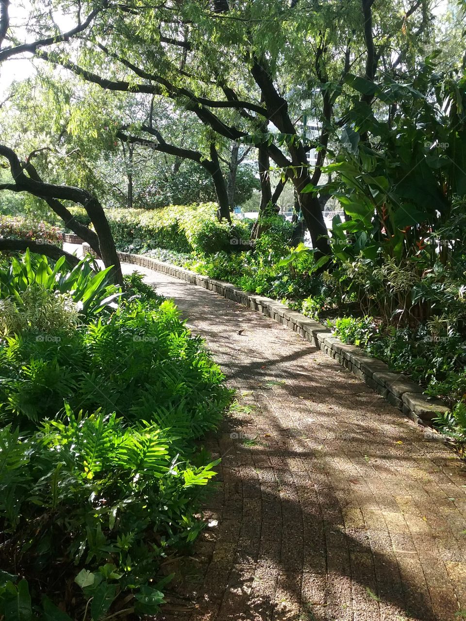 Garden Path
