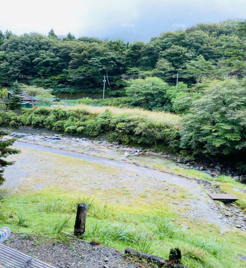 beautiful riverside view of nature