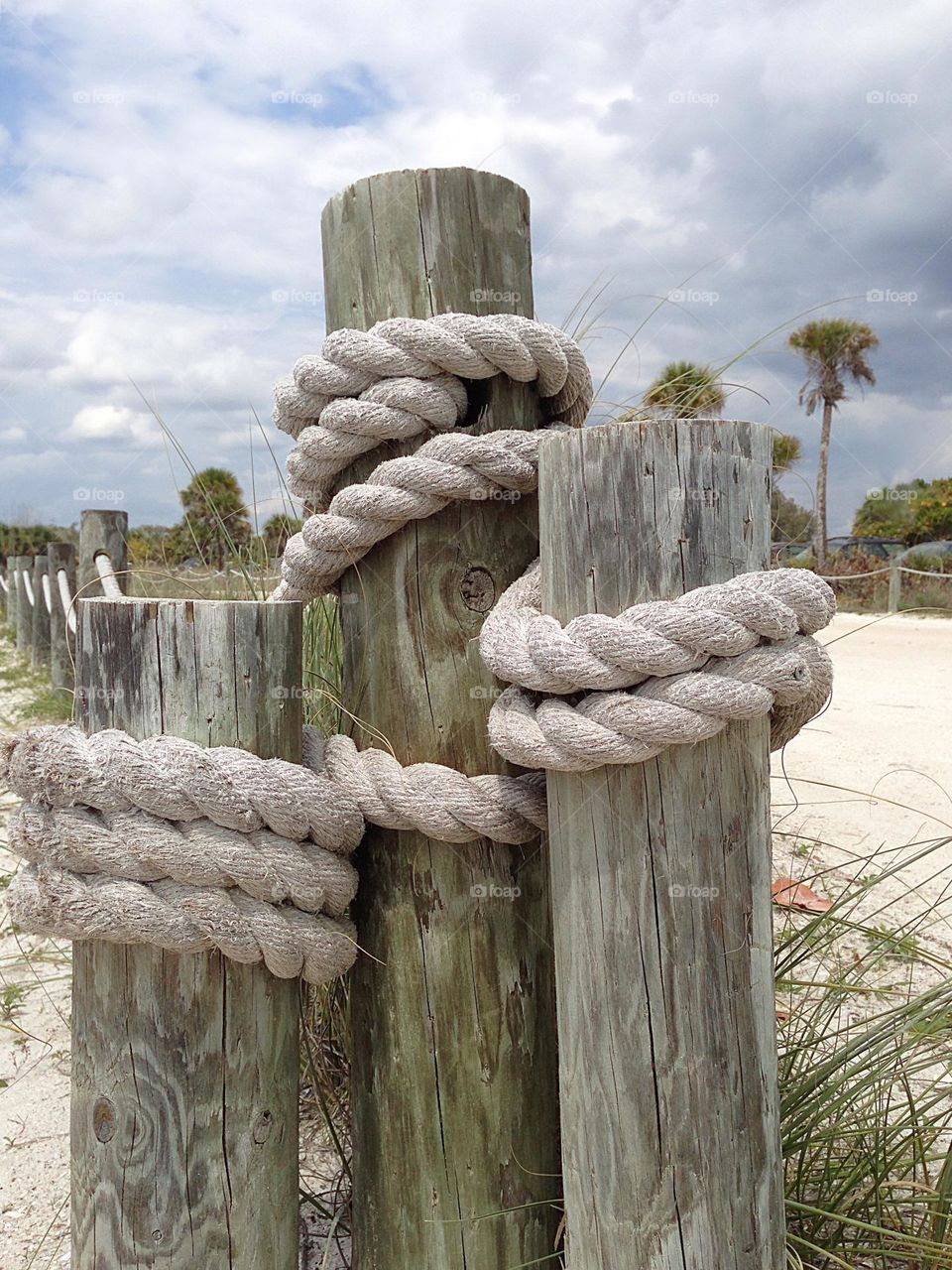 Wooden pilings tied in rope on the beach.
