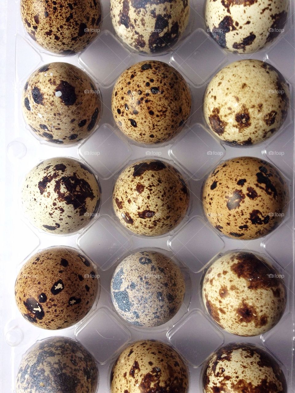 High angle view of quail eggs