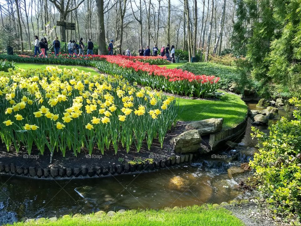 Keukenhof
