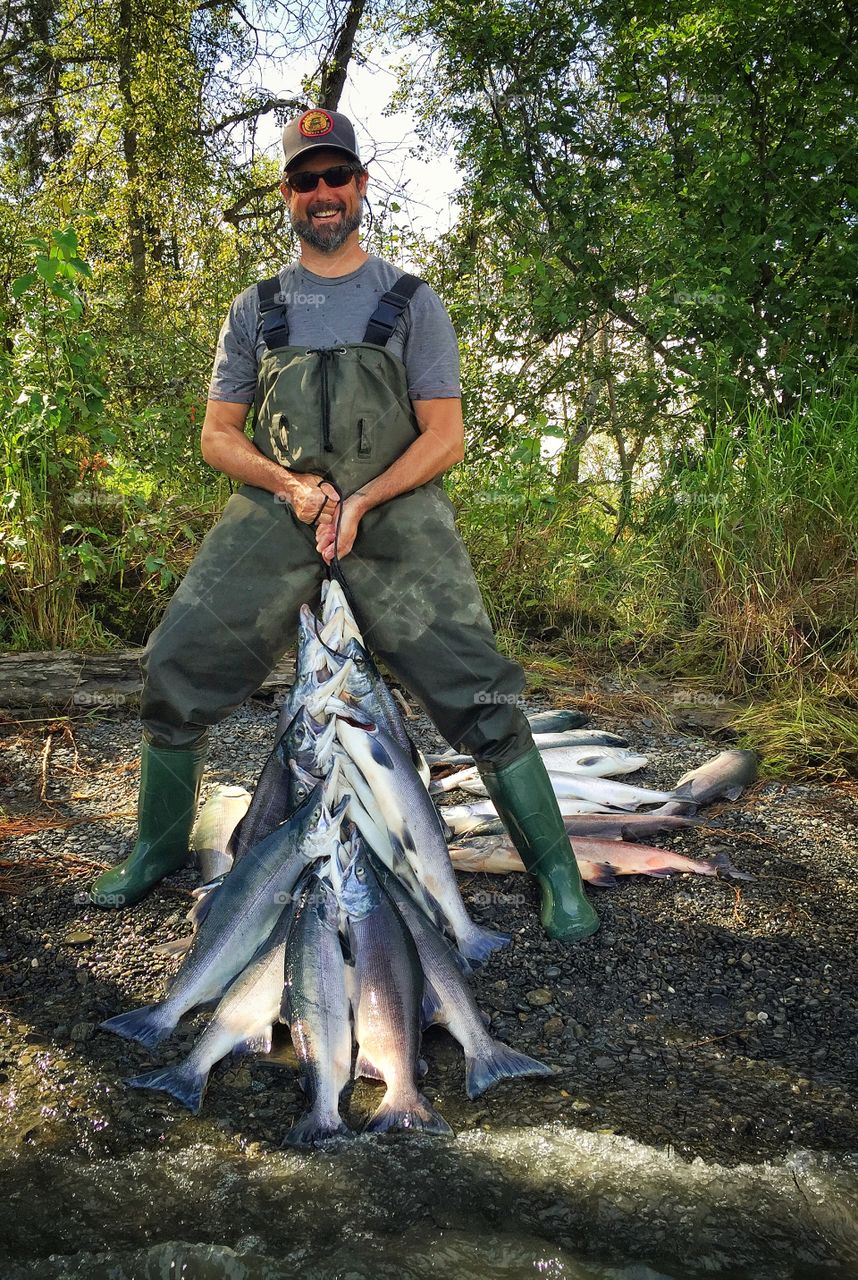 Red salmon on the Kenai river, Alaska