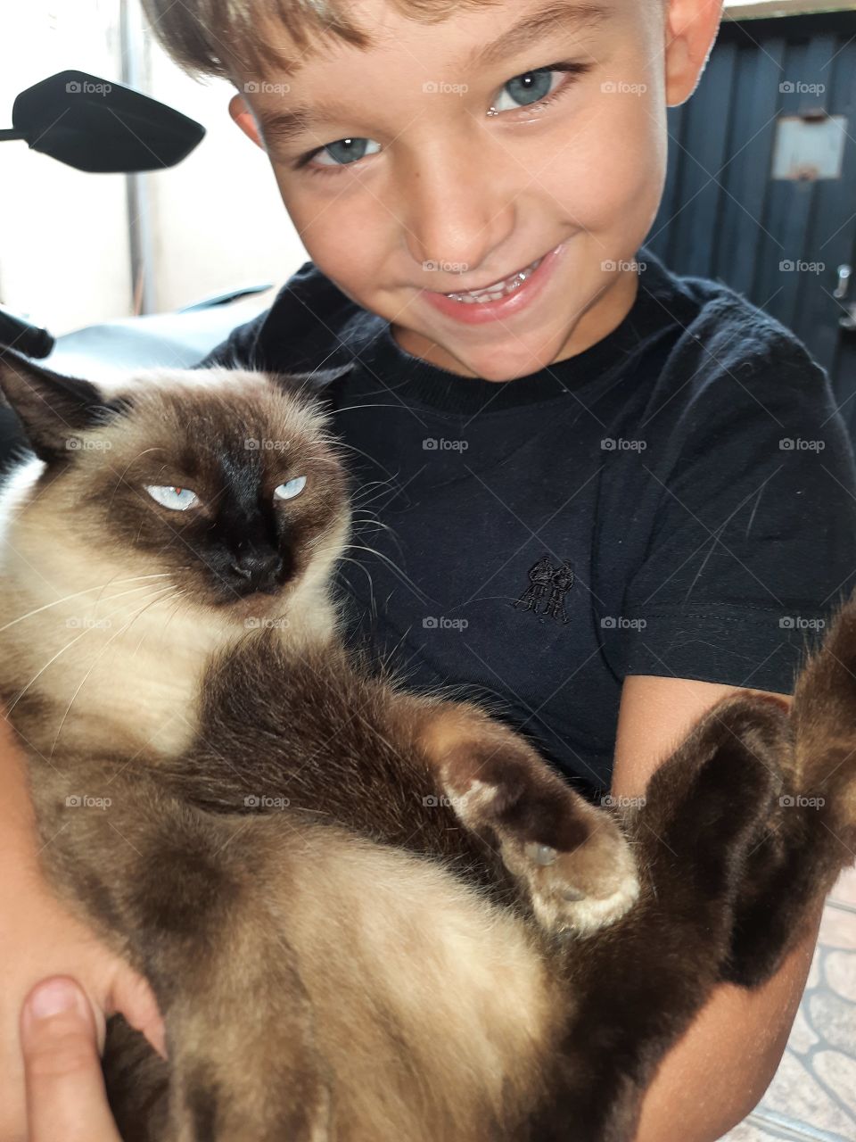 pretty child playing with the kitten