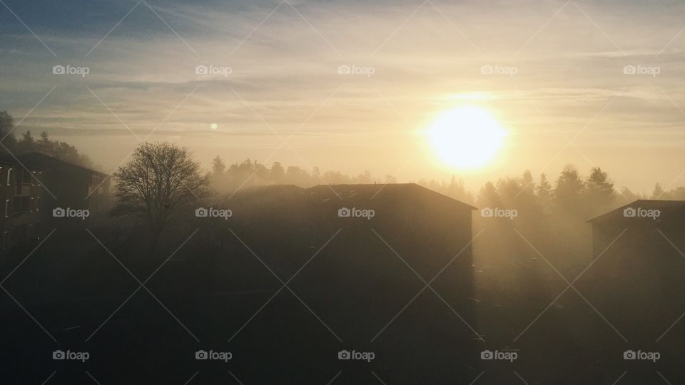 Sunrise at farm