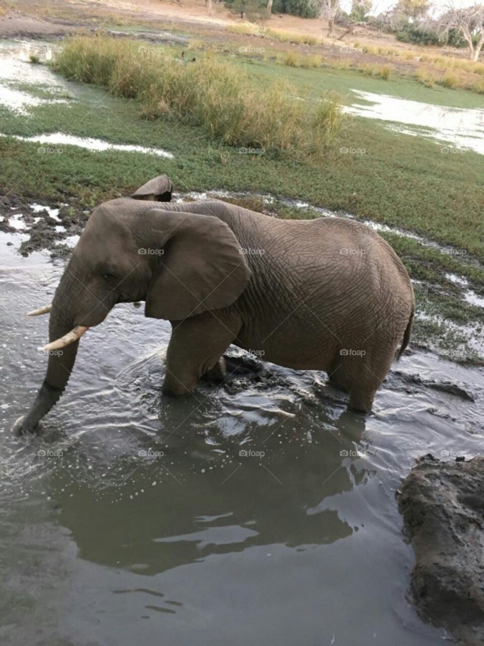 Kruger National Park