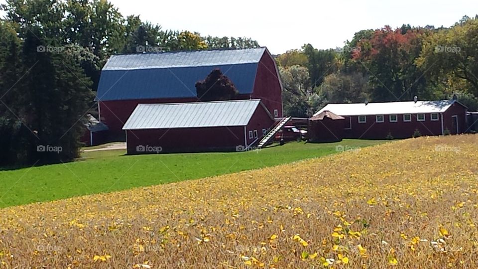 ted barn