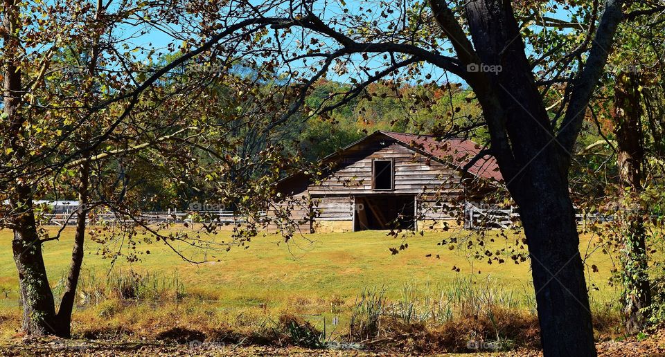 Old Barn