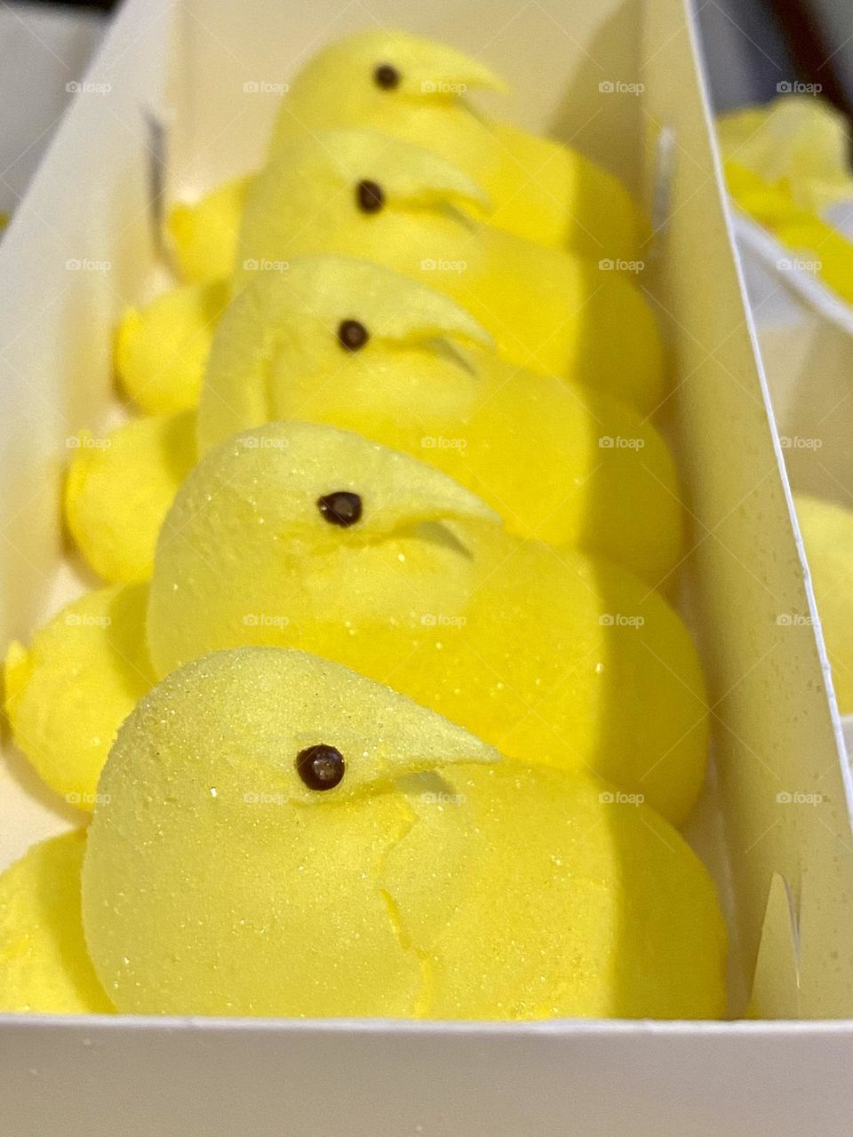 Five marshmallow Peeps in a cardboard tray