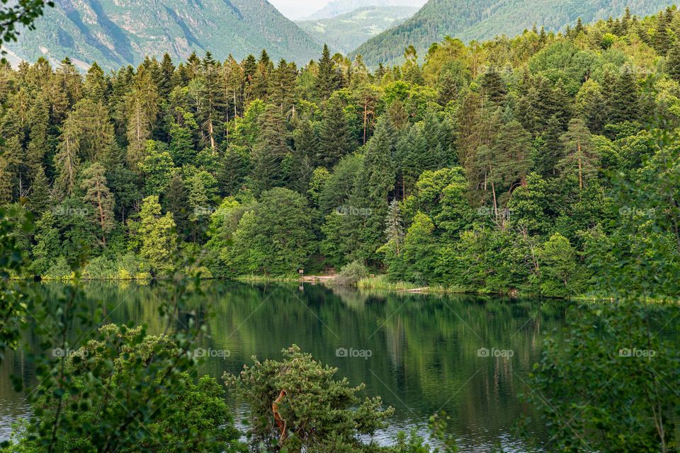 lake, forest and mountains in South Tyrol, Italy