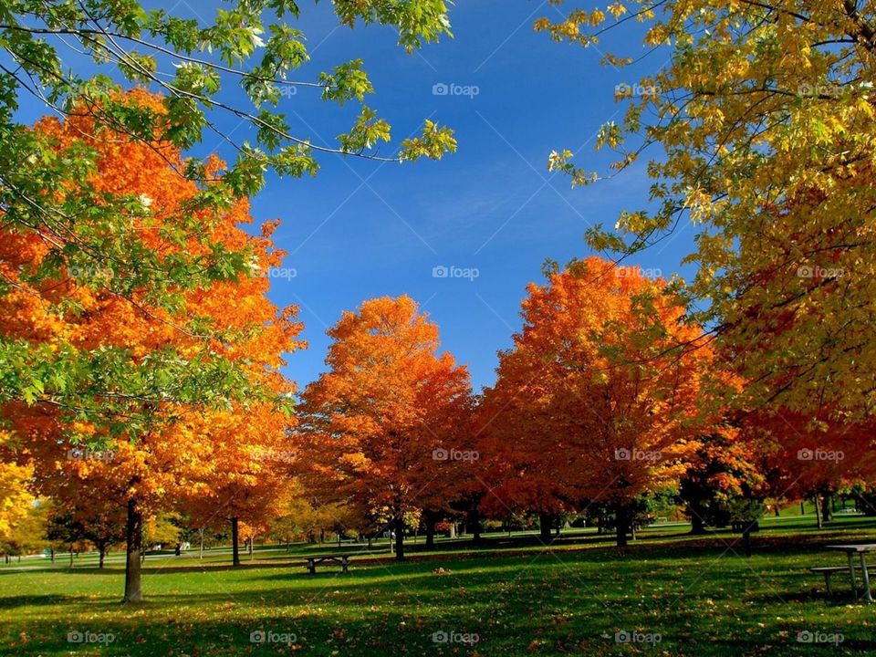 this pic is in winter of nature so beutifull pic