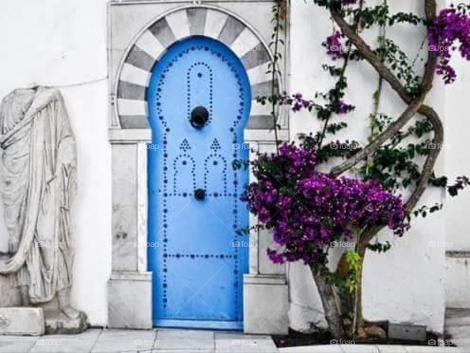 Blue Door  . Sidi bou Said , Tunisia