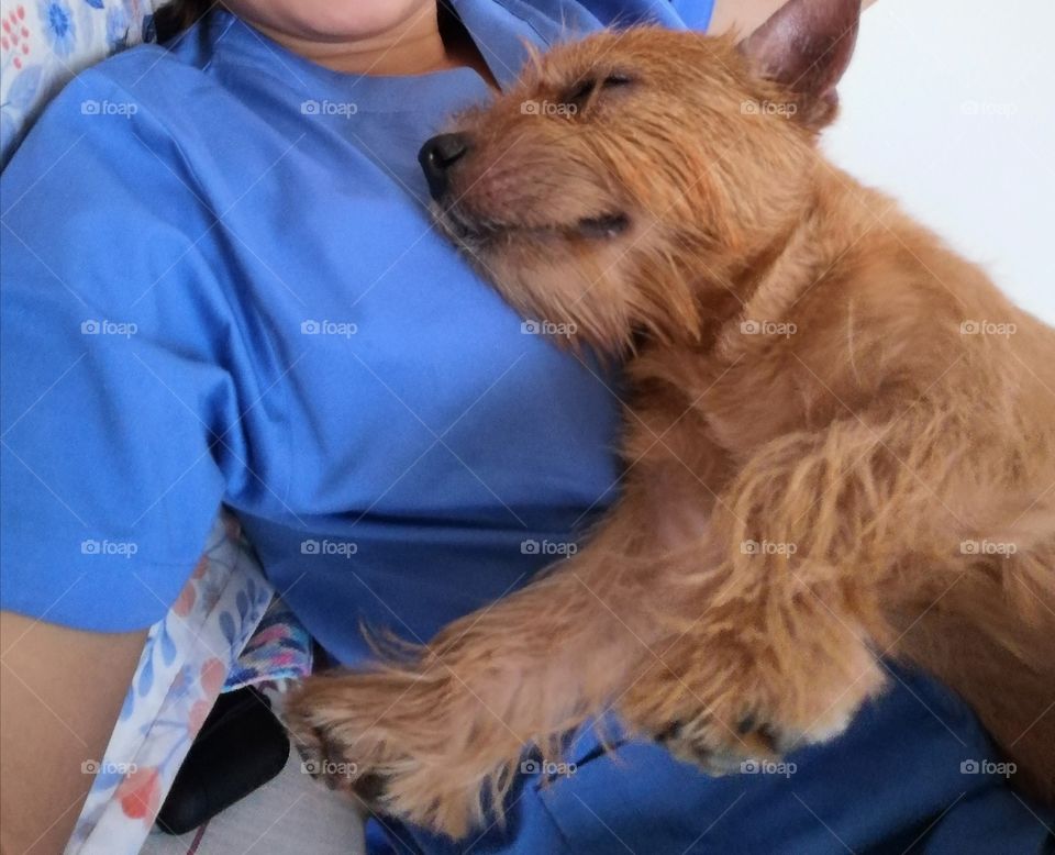 I have a comfortable bed. 😘😍