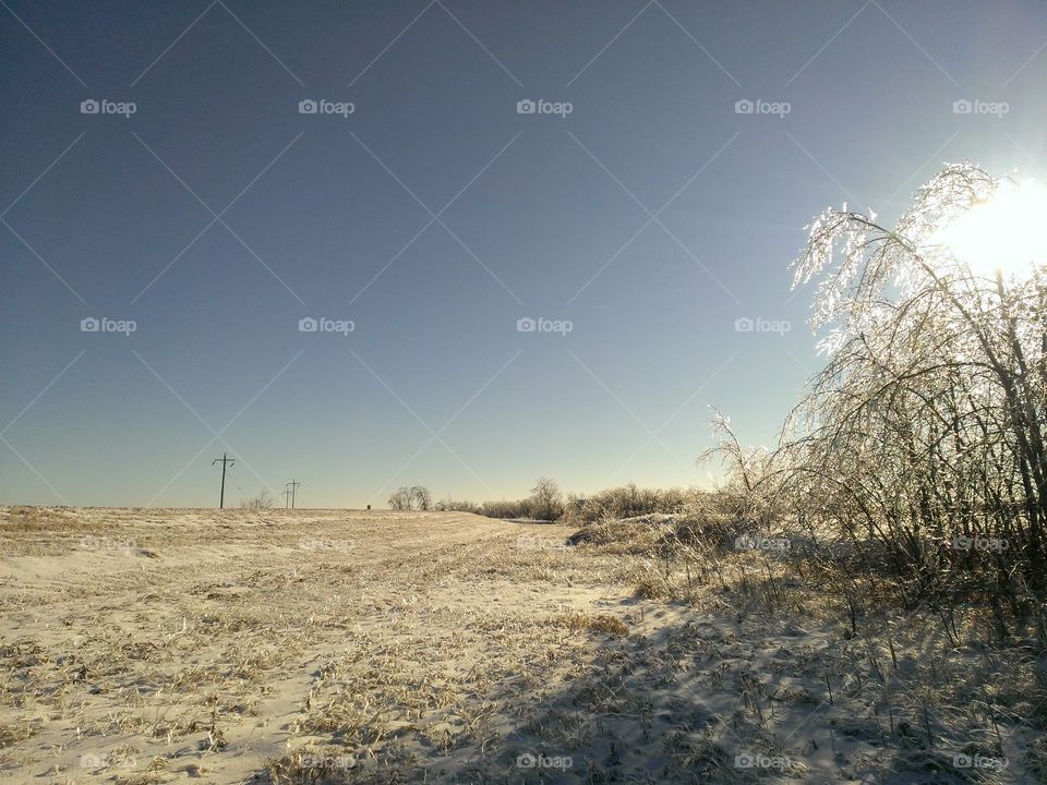 Wintery hoarfrost 