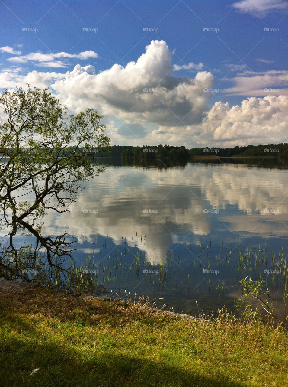 sky nature summer clouds by miss_falcon