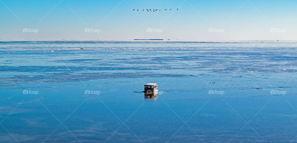 Crab trap on a frozen Chesapeake Bay