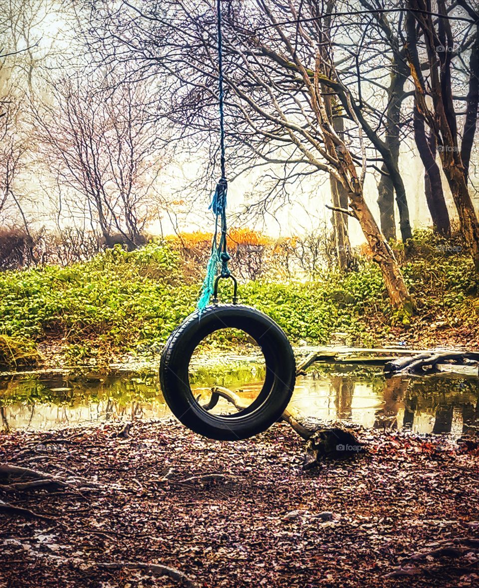 Scottish tire swing