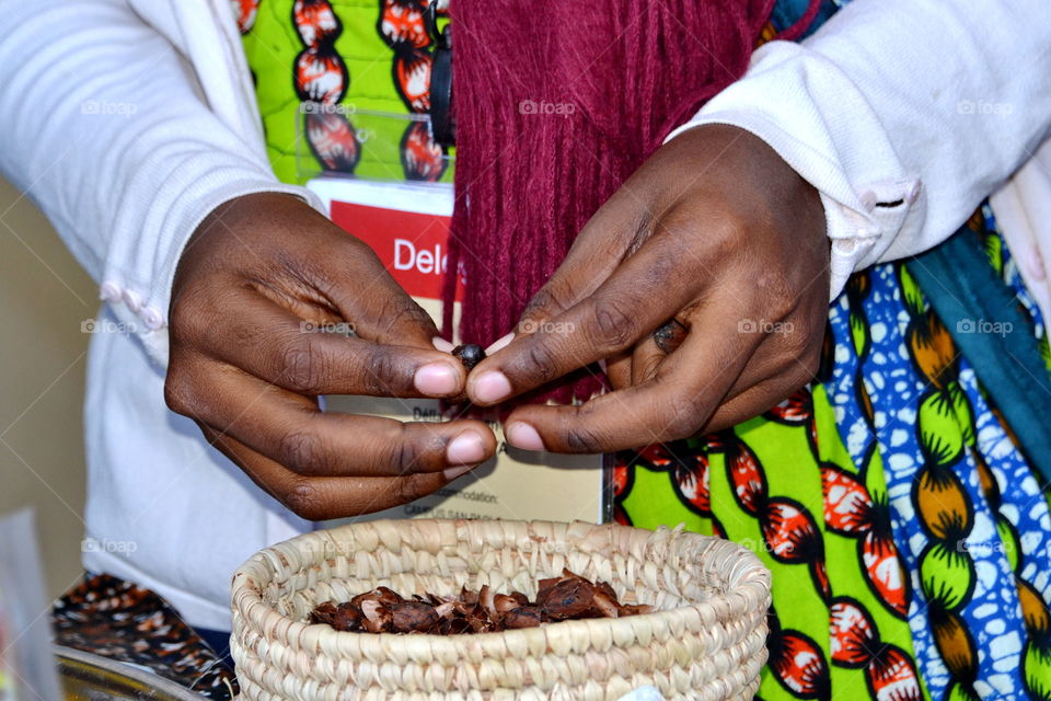 hands working cocoa beans