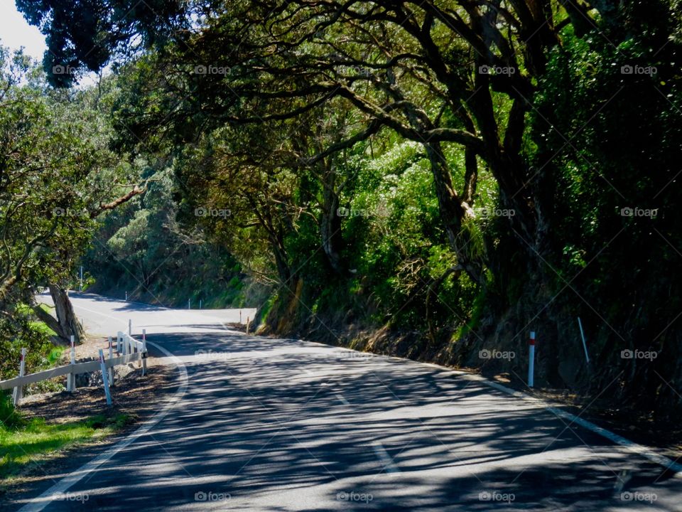 Driving through New Zealand