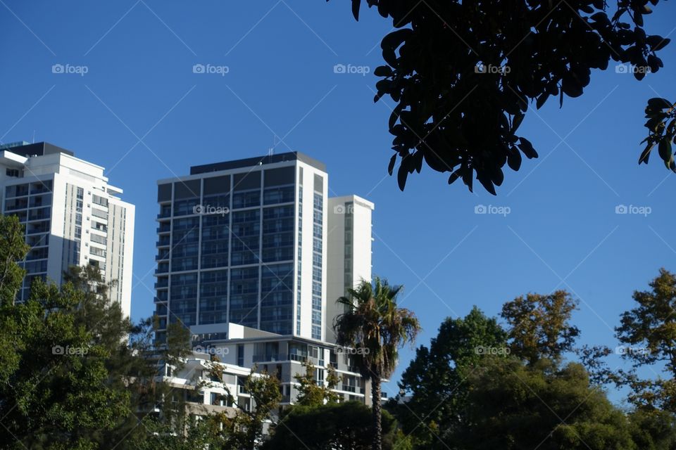 Urban Garden. Buildings and trees can be seen clearly in the fair weather.