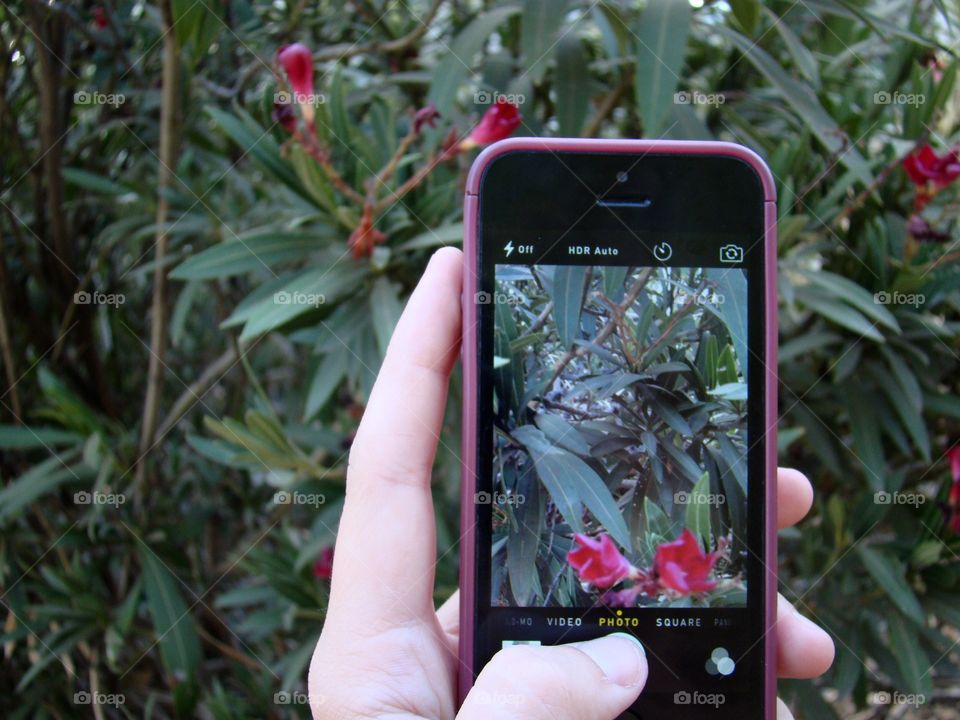 Taking a picture of taking a picture 