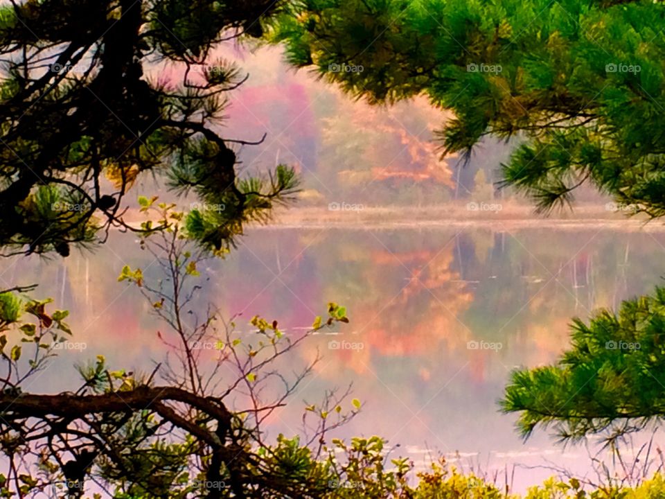 Acadia National Park
