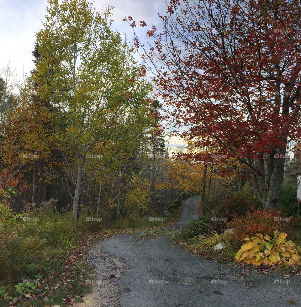 Fall in Nova Scotia, Canada. 
