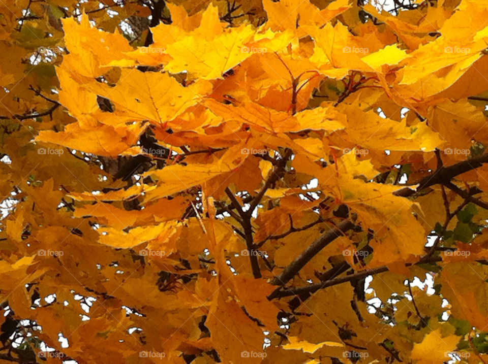 malmö sweden autumn höst by ingrid13