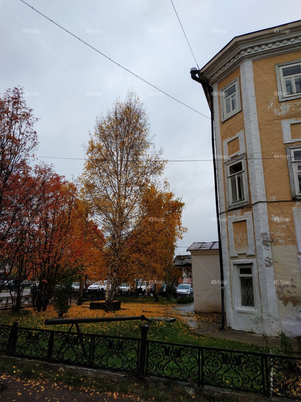 Autumn in Siberia. Yeniseisk.Russia. Autumn walk